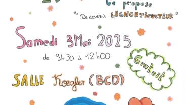 CMJ Activités